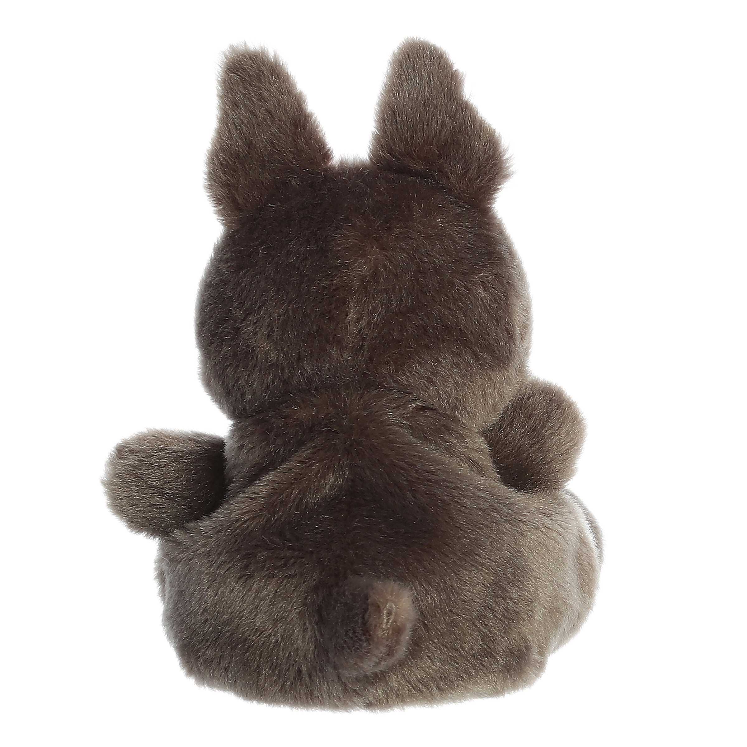 Beau French Bulldog (Small)