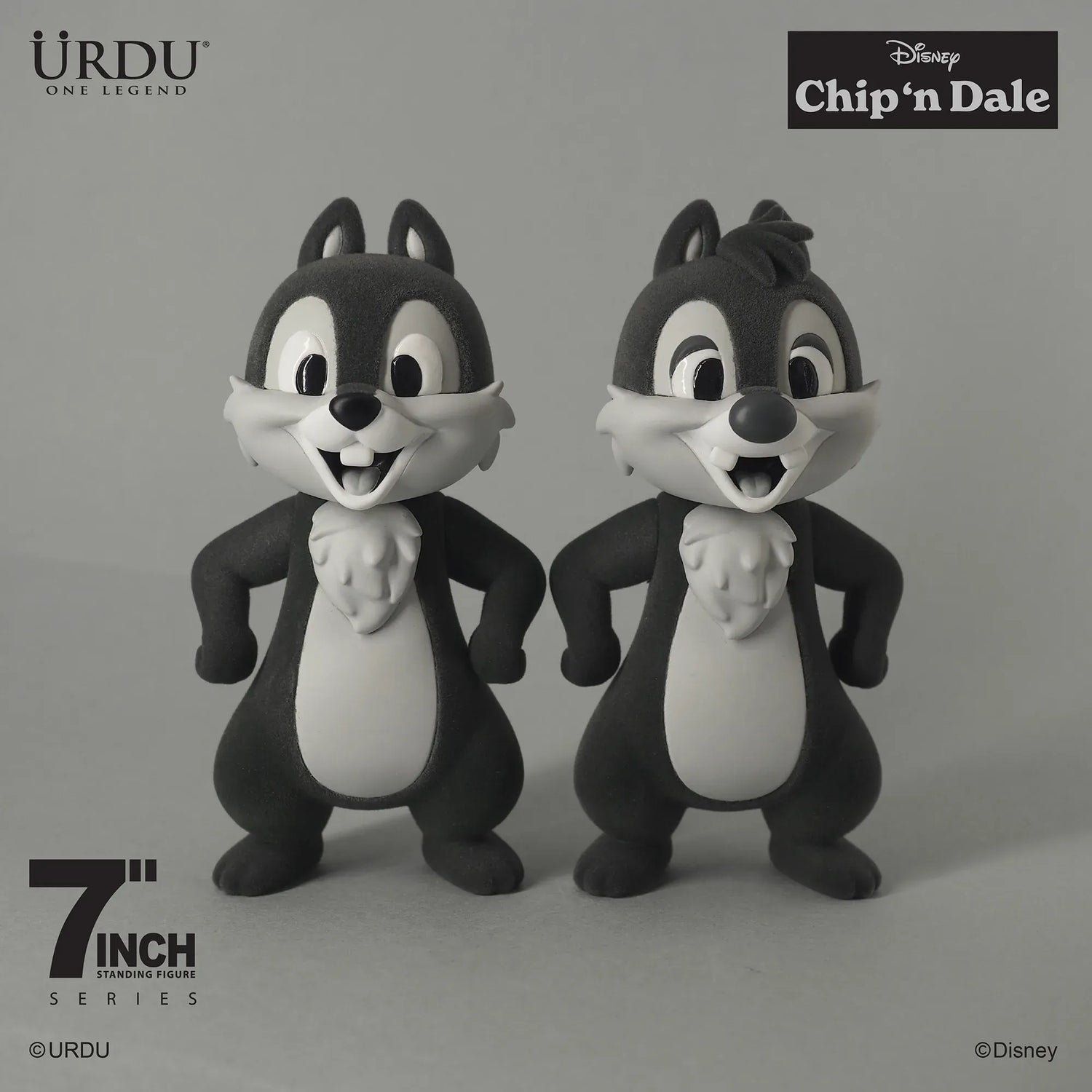 Chip &