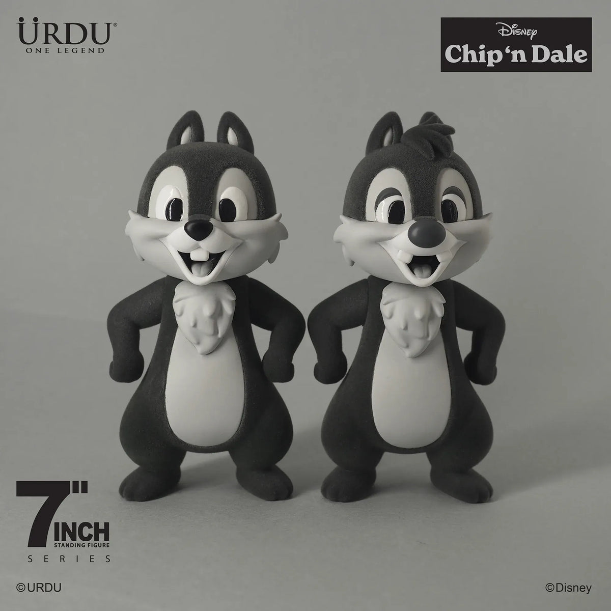 Chip &