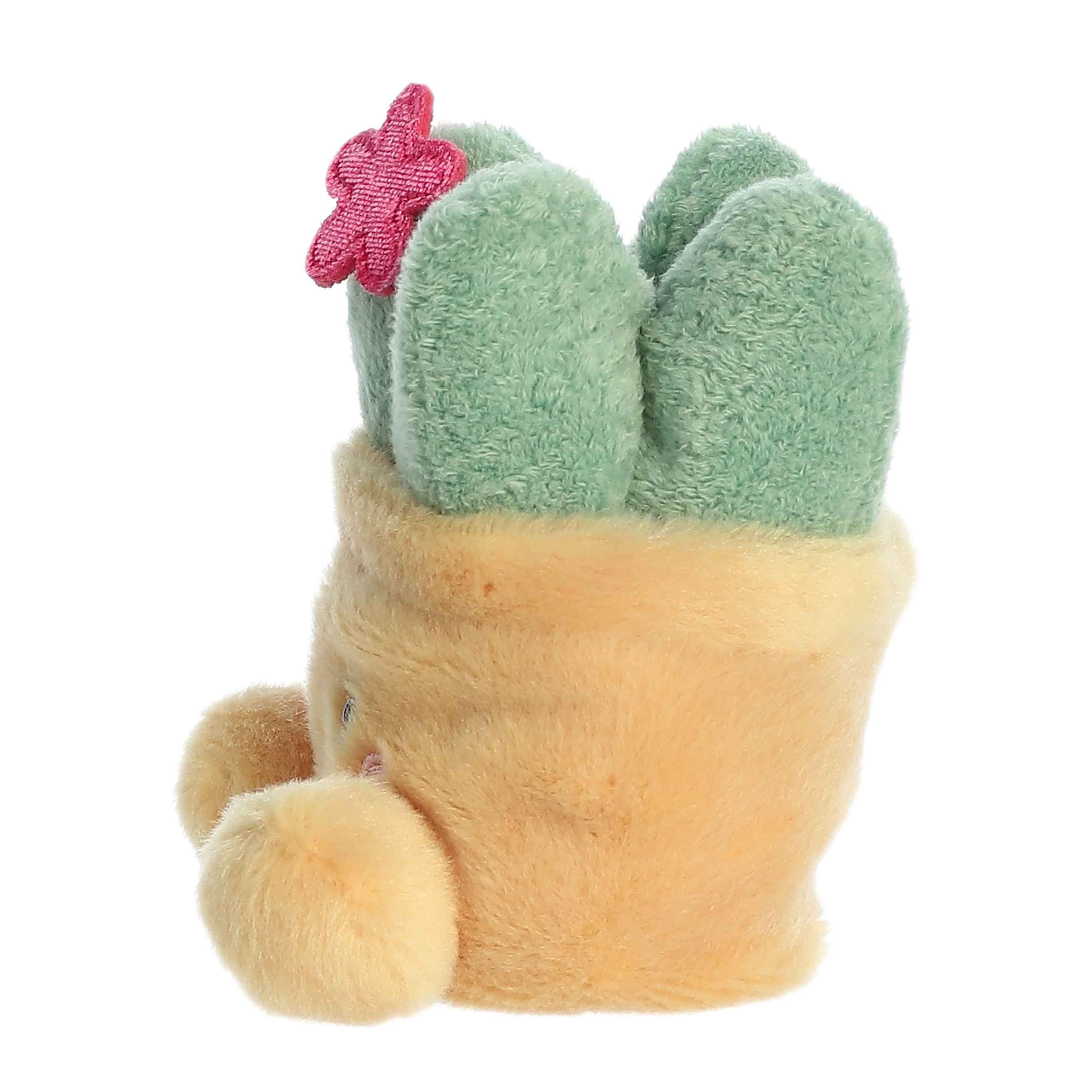 Seyla Succulent (Small)