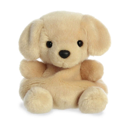 Sunny Lab (Small)