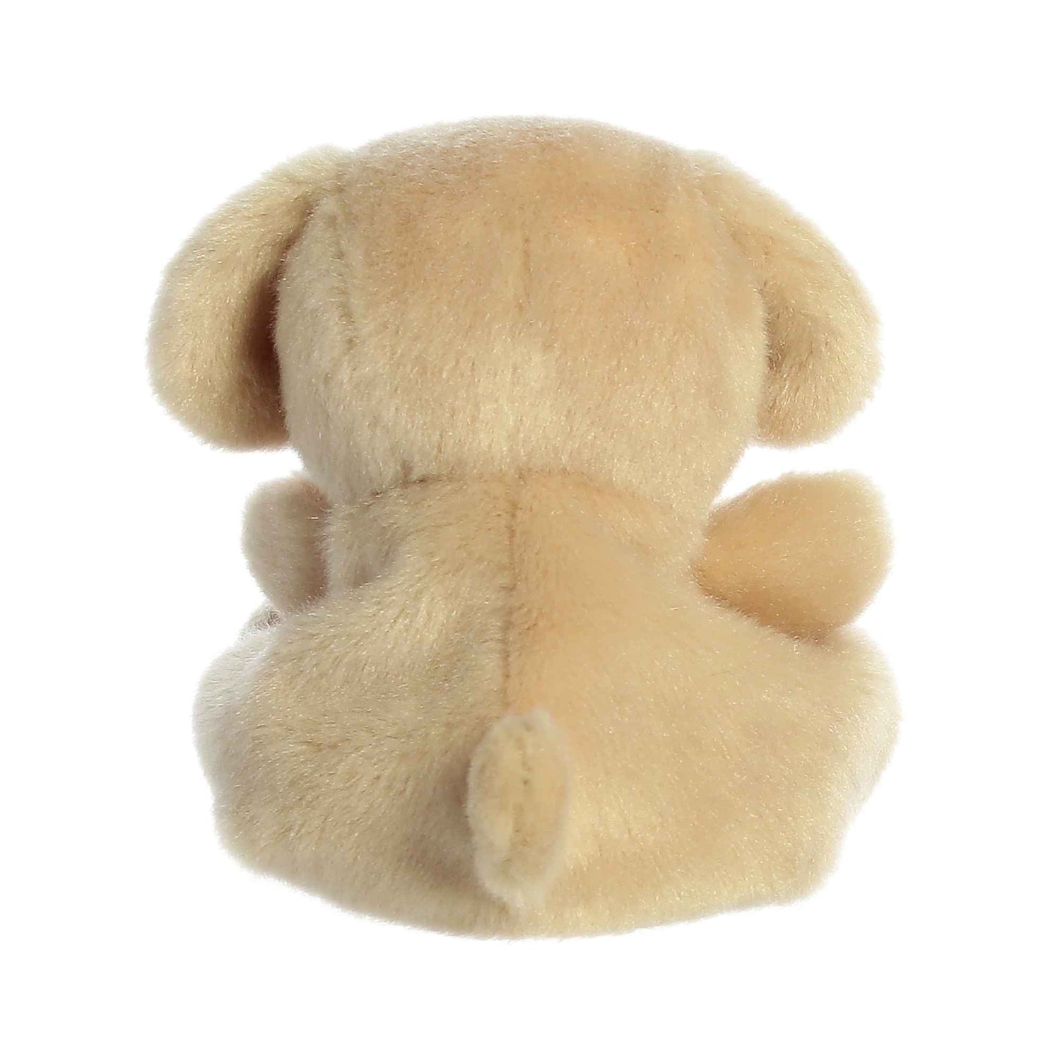 Sunny Lab (Small)